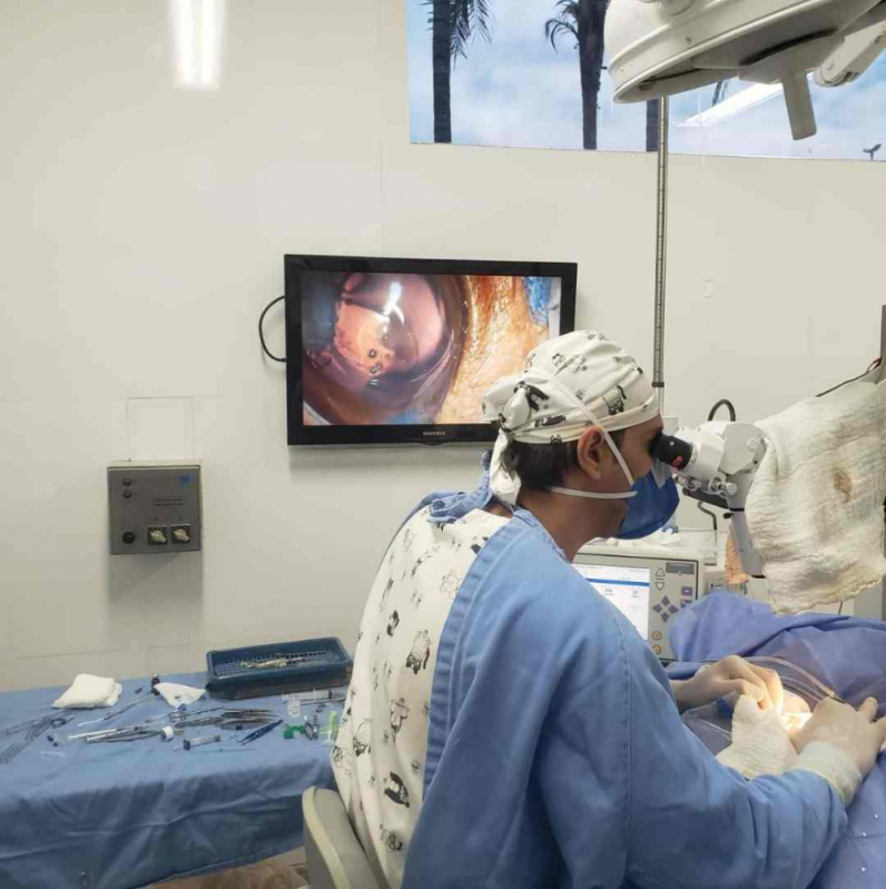 Cirurgia de Catarata em Gatos Cruzeiro Velho - Cirurgia Catarata Cachorro Brasília