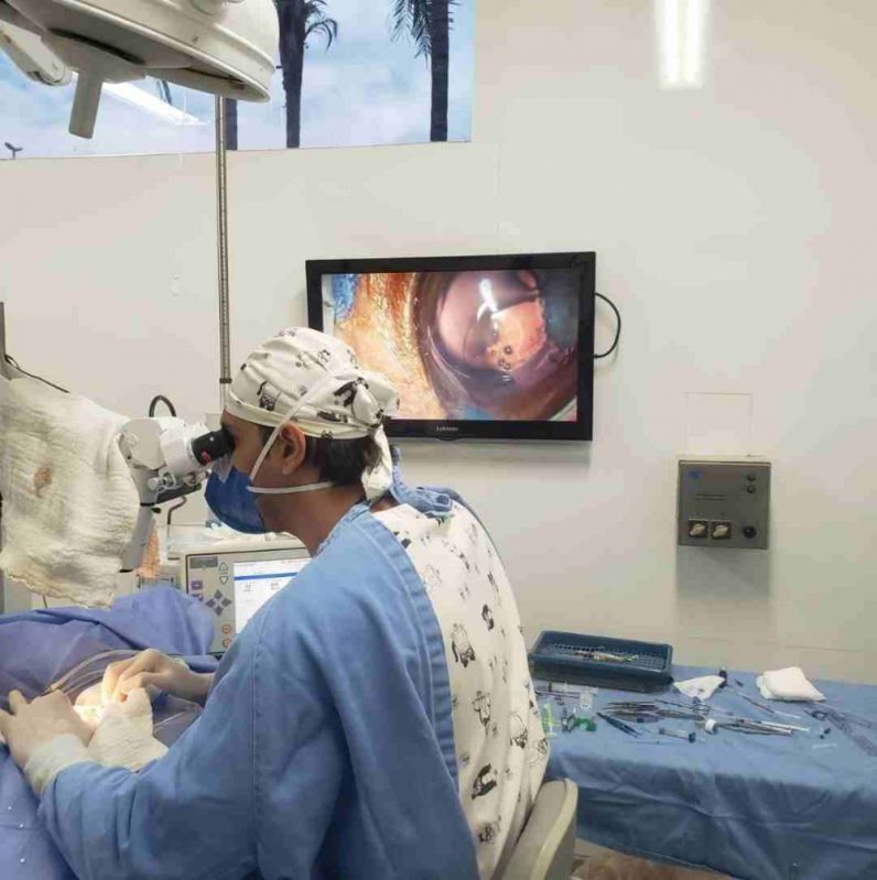Cirurgia Oftalmológica em Cães Águas Claras - Cirurgia Olho Cachorro Brasília
