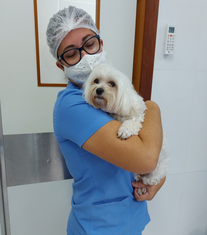 Clínica de Cirurgia nos Olhos de Cachorro Condomínio Santa Mônica - Cirurgia Oftalmológica em Cães