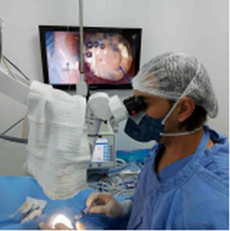 Clínica Especializada em Cirurgia Catarata para Animais PTP Praça dos Três Poderes - Cirurgia de Catarata em Animais Altiplano Leste