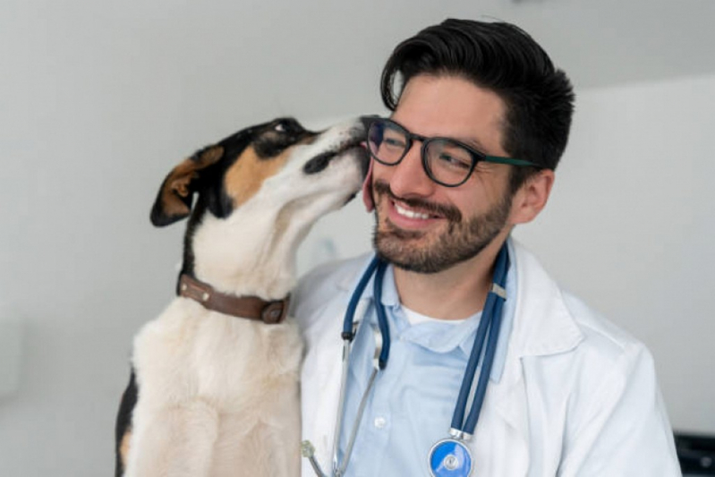 Clínica Especializada em Glaucoma de Cachorros de Grande Porte Setor Noroeste - Glaucoma de Cães São Bartolomeu