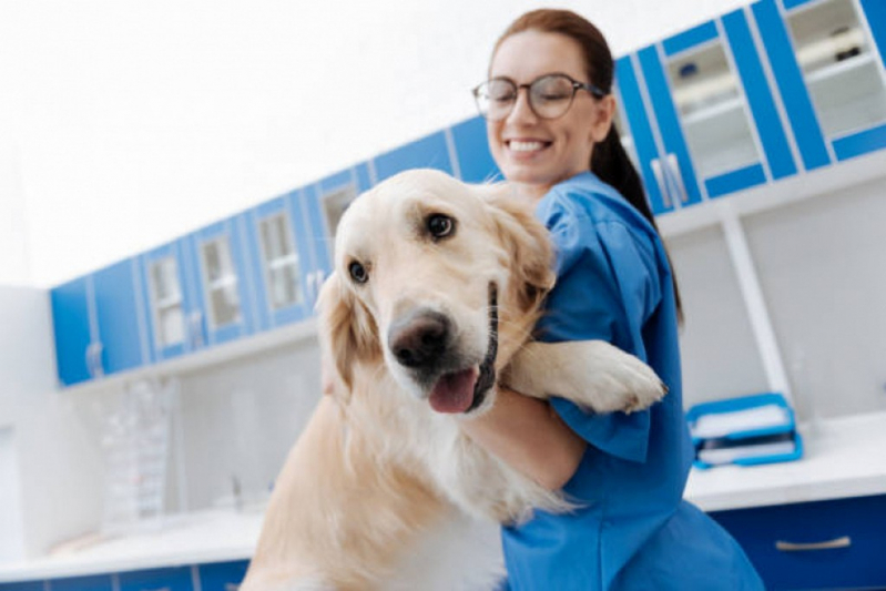 Clínica Especializada em Glaucoma em Cachorro de Estimação SETOR DE HOTEIS E TURISMO NORTE - Glaucoma Veterinário Cachorro Mangueiral