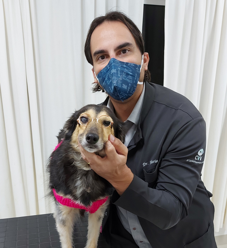 Contato de Veterinario Oftalmo para Cachorro Guará - Veterinária Especialista em Olhos de Cachorro