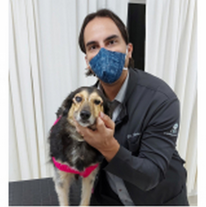 Oftalmologista para Cães Eixo Rodoviário Leste - Oftalmo para Pet Tororó