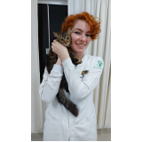 cirurgia ocular para gatos marcar Eixo Rodoviário Oeste