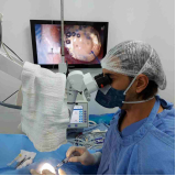 cirurgia olho shih tzu Vila Telebrasília
