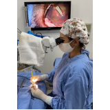 clínica de cirurgia em olho de cachorro Águas Claras