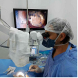 clínica especializada em cirurgia catarata para animais Eixo W