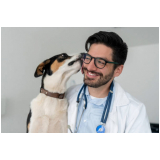 clínica especializada em glaucoma de cachorros de grande porte EPUB Estrada Parque Universidade de Brasília