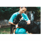 consulta veterinária cachorro Cruzeiro Novo