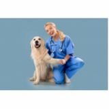 consulta veterinária para tratamento de glaucoma canino EPNA Estrada Parque das Nações