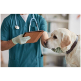 glaucoma de cães tratamentos Eixo Rodoviário Norte
