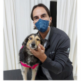 oftalmologista para cães Vicente Pires