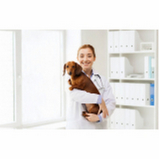 onde agendar consulta veterinária cachorro Condomínio Quintas da Alvorada