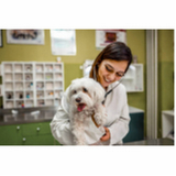onde agendar consulta veterinária para glaucoma de cachorro SETOR DE CLUBES SUL