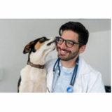 tratamento de glaucoma em cachorro SETOR DE INDUSTRIA GRAFICA BIOTIC