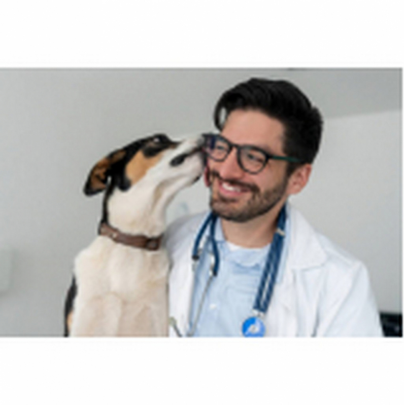 Tratamento de Glaucoma em Cachorro Brasília - Tratamento Médico do Glaucoma Canino Itaipu