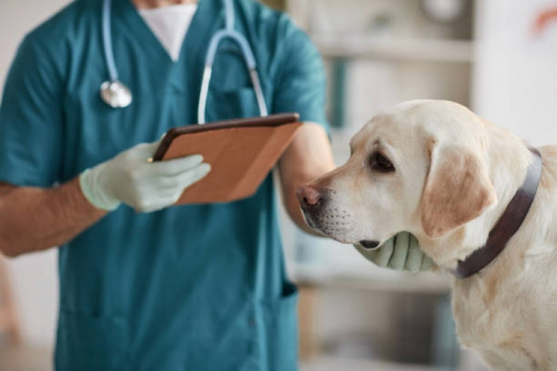 Tratamento Especializado em Glaucoma Veterinário Cachorro PARQUE TECNOLOGICO DE BRASILIA GRANJA DO TORT - Glaucoma de Cachorros de Pequeno Porte Barreiros