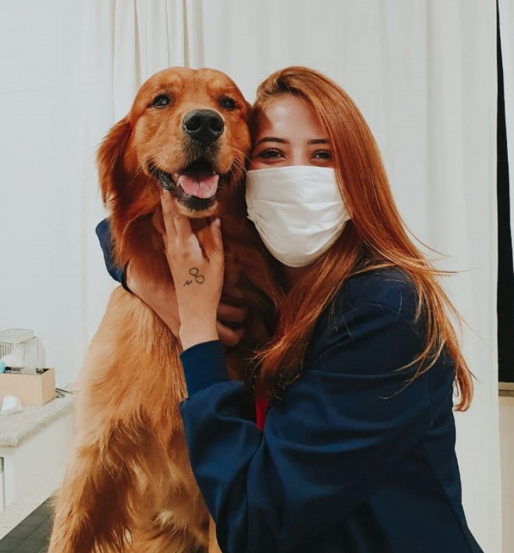 Veterinária Especializada em Olhos de Cachorro PARQUE TECNOLOGICO DE BRASILIA GRANJA DO TORT - Oculista para Cachorros